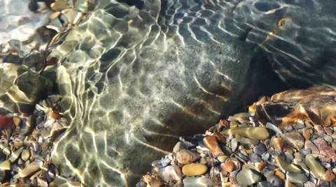 Crystal clear creek Stock Footage 51700521
