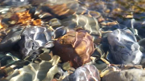 Crystal clear creek Stock Footage 51700840
