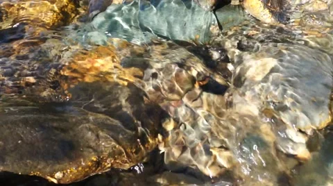 Crystal clear creek Stock Footage 51701188