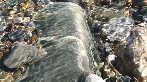 Crystal clear creek Stock Footage 51701478