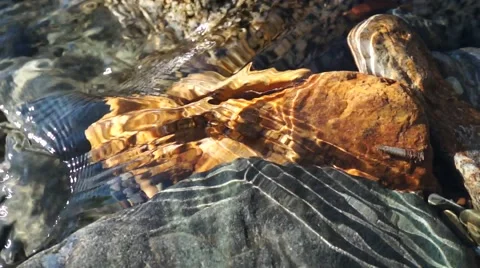 Crystal clear creek Stock Footage 51701659