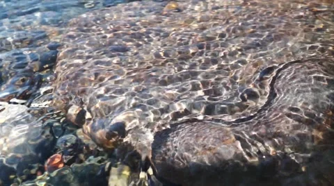 Crystal clear creek Stock Footage 51701965