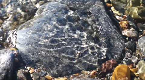 Crystal clear creek Stock Footage 51702123