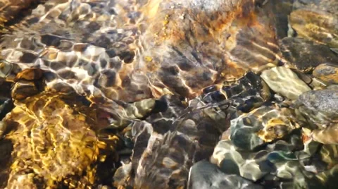 Crystal clear creek Stock Footage 51702215