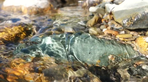 Crystal clear creek Stock Footage 51702221