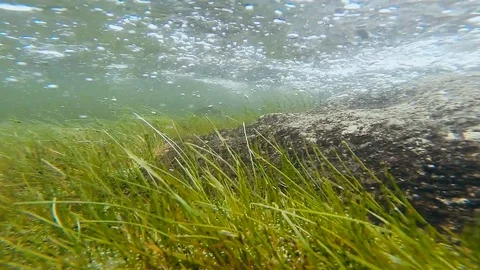Crystal clear drinking water in the mountain river stream running. Freezing cold Stock Footage 110418433