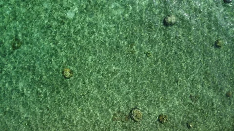 Crystal Clear Emerald Green Sea Water Close-up Stock Footage 196783228