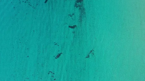 Crystal clear Florida Ocean Stock Footage 147515190