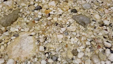 Crystal clear flowing river water Stock Footage 335769728