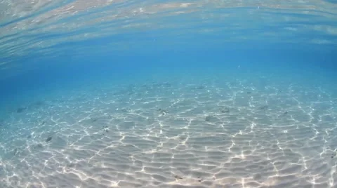 Crystal clear Vidéo 39985384