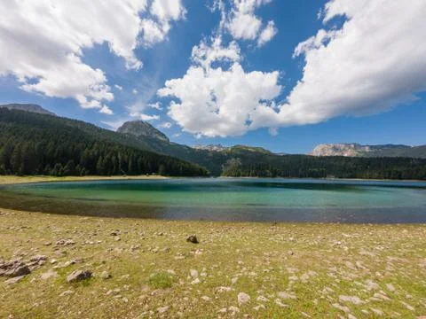 Crystal clear forest lake surrounded with pine trees. Stock Photos