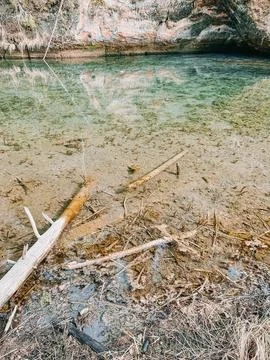 Crystal Clear Forest Spring Pool with Reflections and Logs Stock Photos