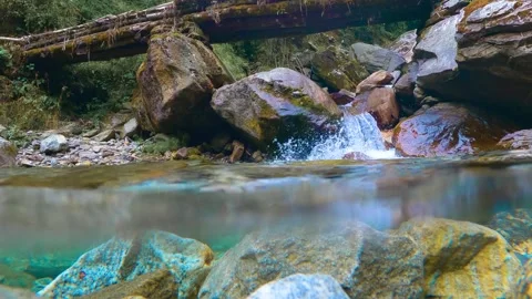 Crystal Clear Forest Stream Cascading Over moss covered Rocks under a rusti.. Stock Footage 311883650