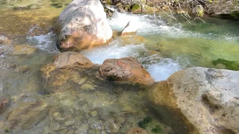 Crystal Clear Forest Stream Flowing Over Natural Rocks in Turkey Stock Footage 335946249