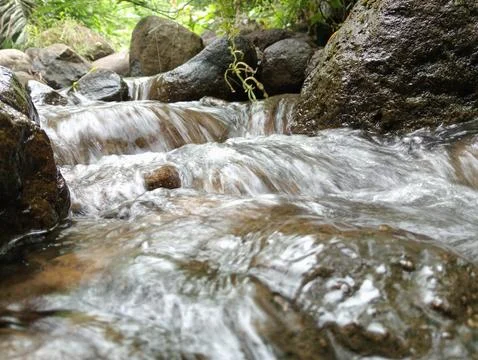 Crystal Clear Forest Stream Over Mossy Rocks – Relaxing Nature Scene Stock Photos