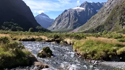 Crystal Clear Glacial Stream at Monkey Creek, Fiordland National Park, New .. Stock Footage 295018588