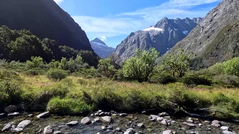 Crystal Clear Glacial Stream at Monkey Creek, Fiordland National Park, New .. Video stock 295018589