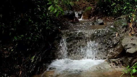Crystal clear Himalayan mountain stream flowing in spring forest Stock Footage 340348812