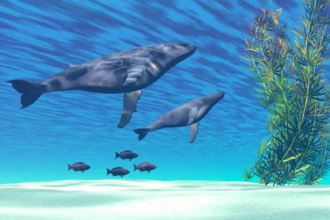 Crystal clear Stock Illustration