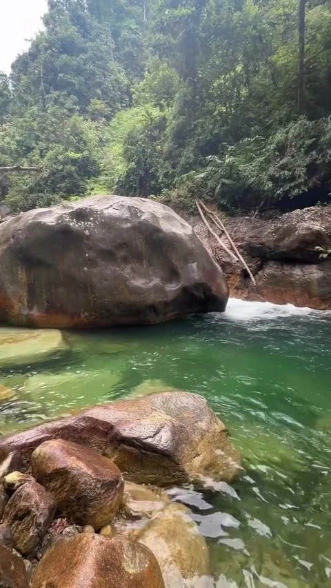 Crystal Clear Jungle River Pool with Large Boulders Vídeos de archivo 341268053