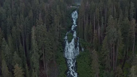 Crystal Clear Lake with Trees and Mountains 스톡 동영상 307730002