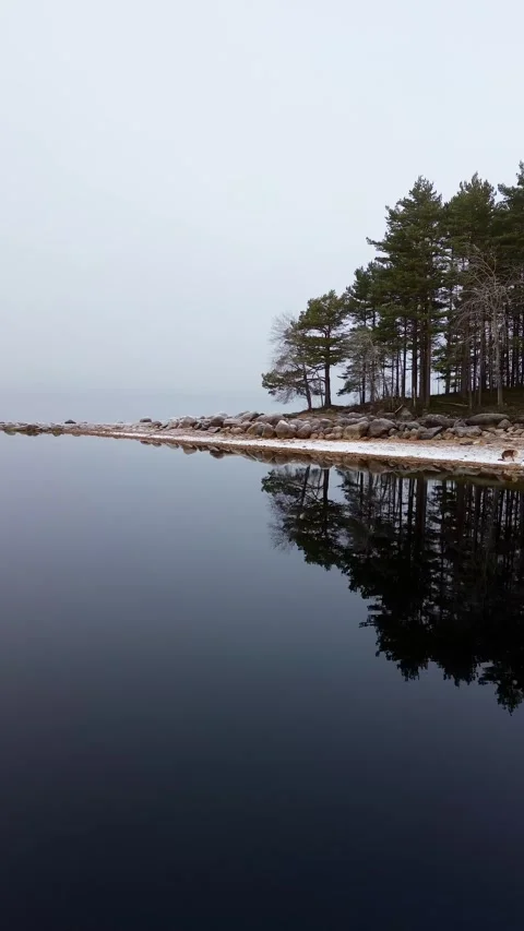 Crystal clear mirror. Drone image of trees reflects in de lake. Norway. Stock-Footage 319825498