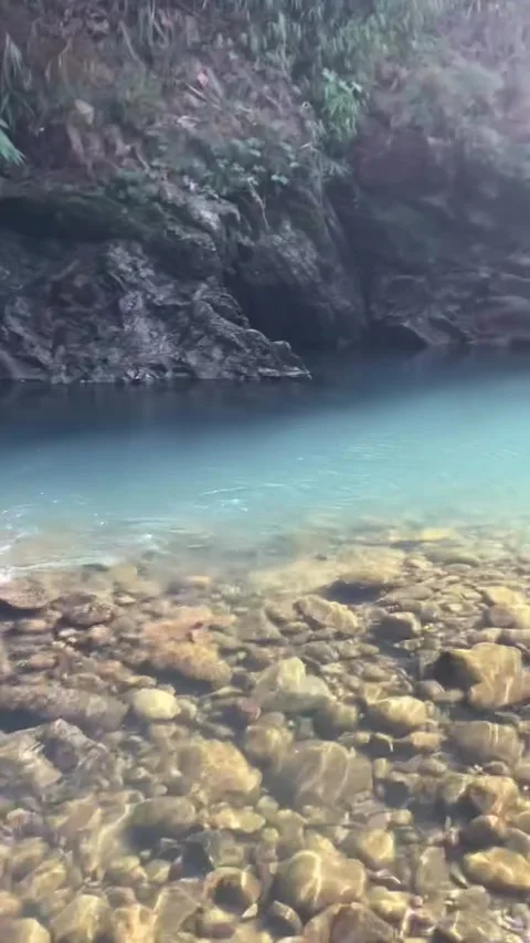 Crystal Clear Mountain Pool in Rocky Stream Bed Stock Footage 341267474