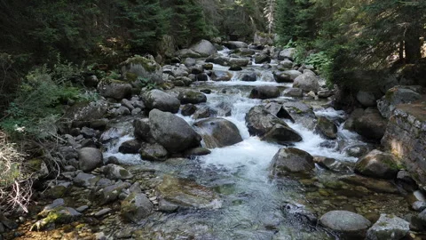 Crystal Clear Mountain River in Close up 4K Apple ProRes Stock Footage 251947858