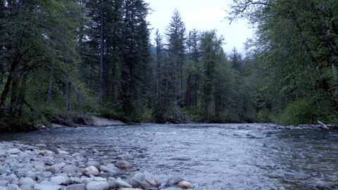 Crystal Clear Mountain River Flowing Through Rocky Terrain Stock Footage 310060458