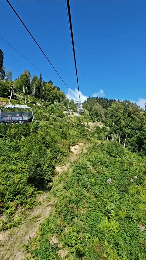 Crystal Clear Mountain River Flowing Through Forest in Summer Video stock 312694103