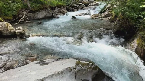 Crystal Clear Mountain River Flowing Through a Lush Forest in the Scenic Au.. Stock Footage 339605847