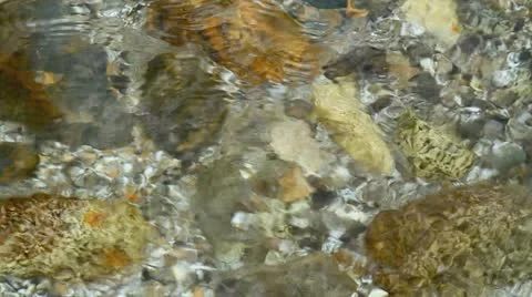 Crystal clear mountain river. Stock Footage 11106383