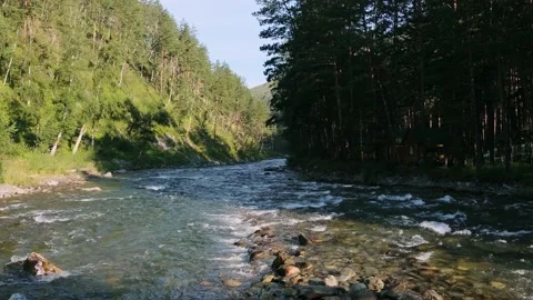 Crystal clear mountain river. Untouched nature. Relax, ecology concept. Fixed Stock Footage 167990213