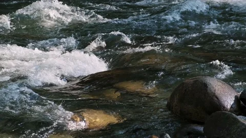 Crystal clear mountain river. Untouched nature. Relax, ecology concept. Fixed Stock Footage 167990429