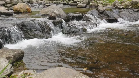 Crystal Clear Mountain Stream Flowing Over Stones  Seamless 4K Loop Stock Footage 320304775