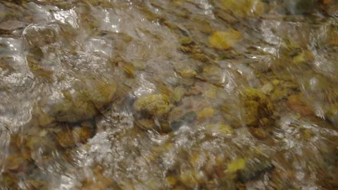 Crystal clear mountain stream flowing over stones Stock Footage 331800011