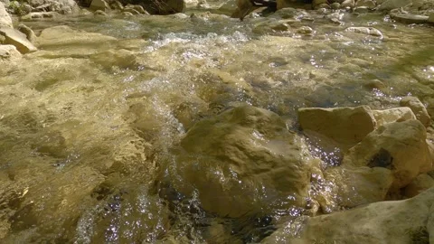 Crystal Clear Mountain Stream Flowing Over Rocks - Molise, Italy Vídeos de archivo 333458409