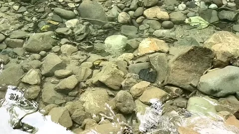 Crystal Clear Mountain Stream Flowing Over River Stones in Fresh Nature Stock Footage 337084754