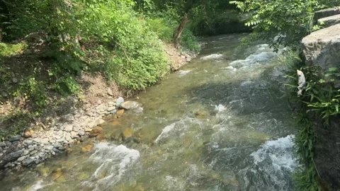 Crystal Clear Mountain Stream Flowing Through Dachigam National Park Kashmir Video stock 338040423