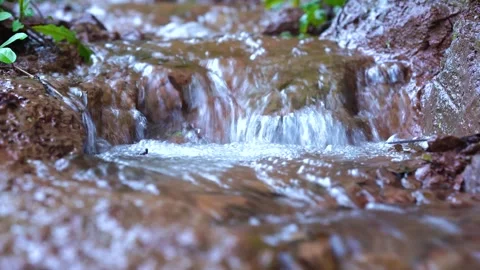 Crystal Clear Mountain Stream Flowing Through Serene Natural Wilderness Scenery Stock Footage 341915380