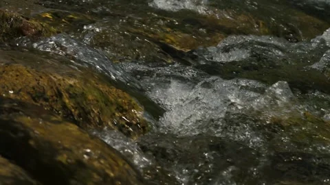 Crystal clear mountain stream flowing over mossy rocks close up Stock Footage 342031726