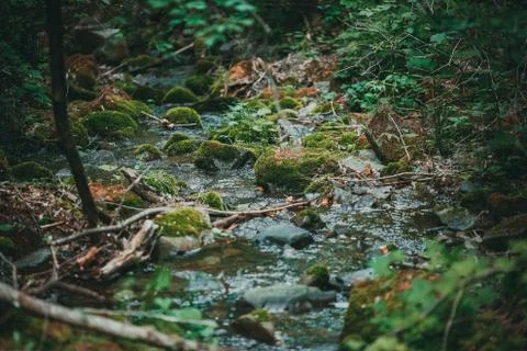 A crystal clear mountain stream flows down stones among green moss and grass Stock Photos