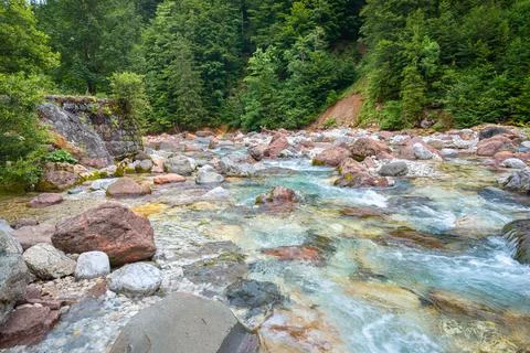 Crystal clear mountain stream flows through a forested area Stock Photos