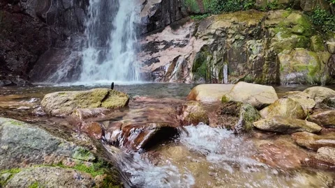 Crystal Clear Mountain Stream in Japan 56 Seconds Stock Footage 336622165