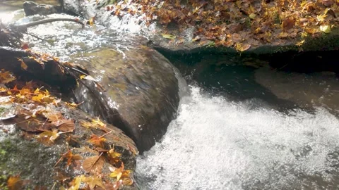 Crystal Clear Mountain Stream in Japan 59 Seconds Stock Footage 336626752