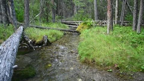 Crystal clear mountain stream with pebbles on the bottom  Stock Footage 152526102