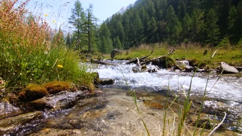 Crystal clear mountain stream in the valley of Kaponig in Austria Carinthia Stock Footage 158623060