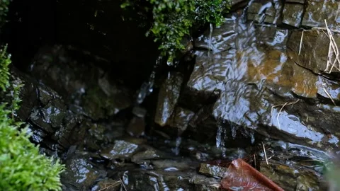 Crystal-clear mountain water flowing down over stones and green moss. Stock Footage 132810148