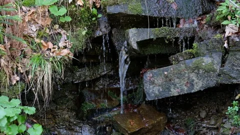 Crystal-clear mountain water flowing down over gray and stones and green moss. Stock Footage 132814246