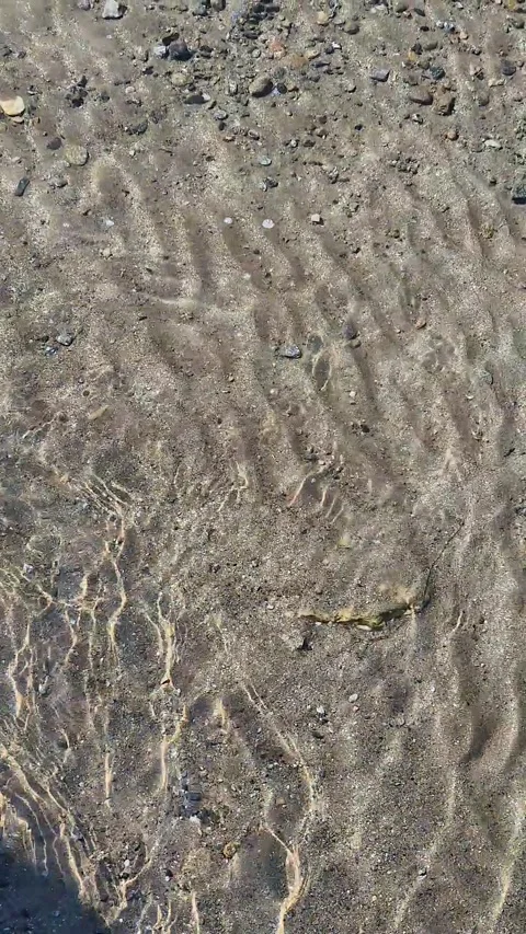 Crystal-Clear Mountain Water with Sediments Video stock 316062100